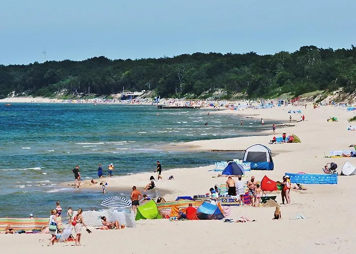 Biale Lux ロッジ *